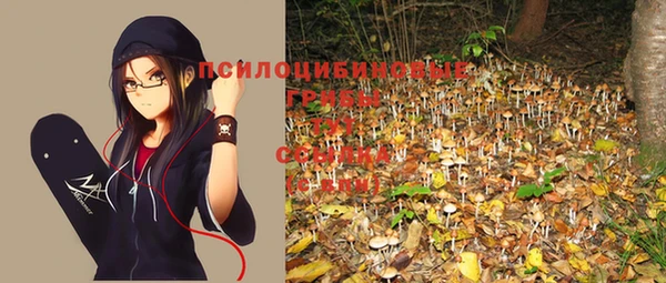дурь Волосово