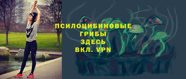гидропоника Вязьма