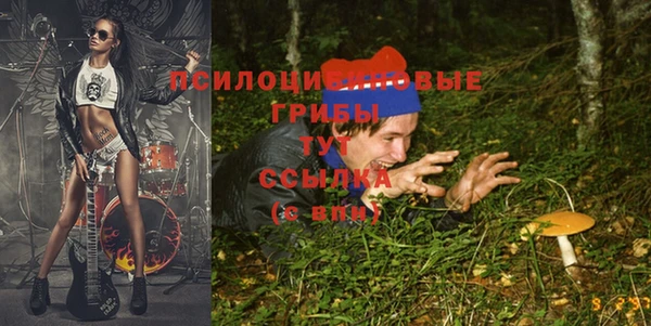 синтетический гашиш Вяземский